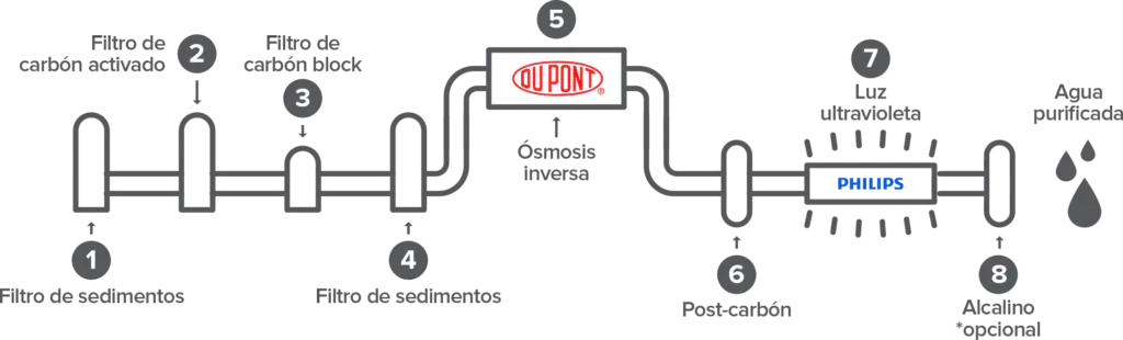 8 pasos purificación